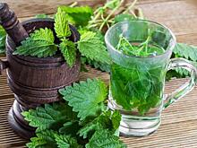 В Туле начнут есть крапиву