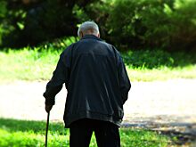 В Мурманской области завершены поиски пропавшего с собакой пенсионера