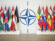Многие страны НАТО поддержали заявку Украины на вступление – СМИ