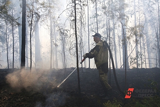 Пожар в Геленджике увеличился до 118 гектар: что известно на данный момент