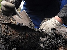 На Ульянинском кладбище захоронят останки красноармейца Сергея Абрамова