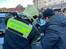 Из запертой машины спасли кошку. Она сидела там четыре дня без еды и воды