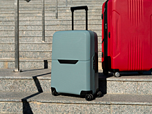 Пассажиры зарубежных рейсов снова прилетают во Внуково без багажа