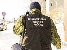 В расправе над ребенком в Кировской области заподозрили подростка