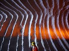 Зеленую энергетику назвали слишком дорогой для России