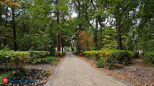 Жителей Пензенской области ждет неделя комфортной погоды