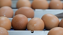 В «Руспродсоюзе» прокомментировали ситуацию с ценами на яйца