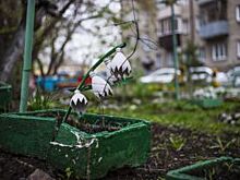 Костромичи начали строить баррикады против наглых водителей