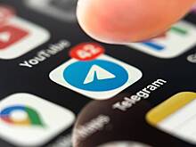 В Госдуме обвинили Telegram в беспокойстве государства