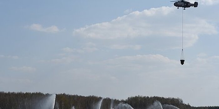 Власти Москвы закачают торфяники водой из-за теплой зимы