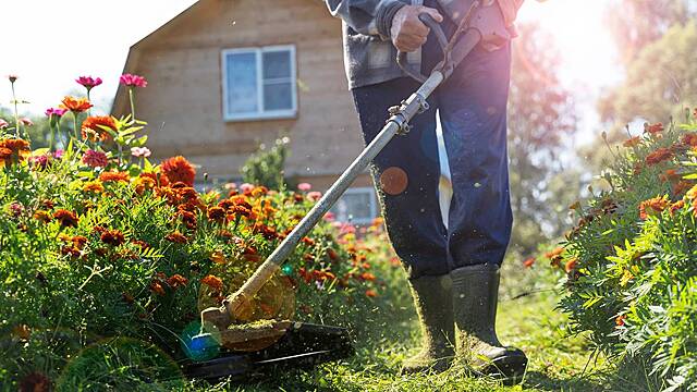 Чего нельзя делать в огороде до полнолуния 7 сентября
