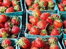 Клубника оказалась самым токсичным магазинным продуктом