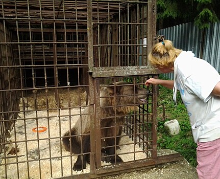 Петербургский центр помощи диким животным «Сирин» прекращает прием новых подопечных