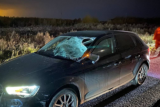 В Тюмени водитель автомобиля насмерть сбил велосипедиста