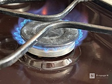 Тарифы на газ вырастут в Нижегородской области с 1 июля