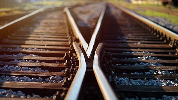 Число пострадавших при столкновении автобуса с поездом в Ленобласти выросло до 16