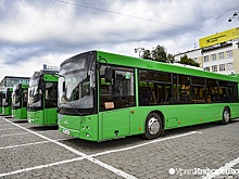 Екатеринбург получит 30 новых больших автобусов сверх плана