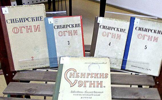 «Сибирские огни» назвали роман «Гул» дебютом года