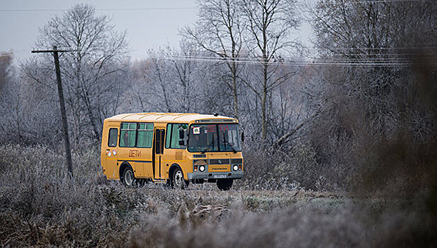 В СФ призвали отменить "возрастной ценз" для школьных автобусов