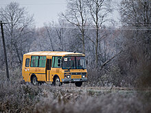В СФ призвали отменить "возрастной ценз" для школьных автобусов
