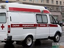 В Ставрополье столкнулись грузовая "Газель" с микроавтобусом