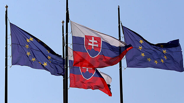 Словакия передаст ноту протеста послу РФ