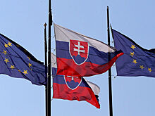 Словакия передаст ноту протеста послу РФ