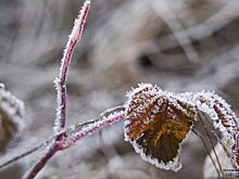 В праздничные дни в Екатеринбурге будет минусовая температура