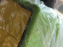 Крымские власти ответили на жалобы пассажиров о неработающих валидаторах