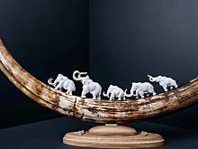 Свыше 80 человек из 9 стран подали заявку на выставку косторезов «Душа Севера»