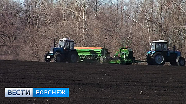 Воронежские аграрии приступили к весенне-полевым работам