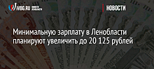 Минимальную зарплату в Ленобласти планируют увеличить до 20 125 рублей