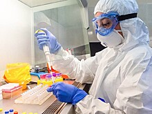 Ученые сообщили о случаях смерти от коронавируса при отрицательных результатах ПЦР-тестов
