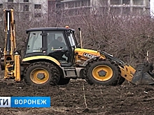 Суд рассмотрит новые иски о возврате проданной земли в яблоневом саду Воронежа