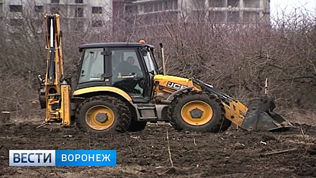 Суд рассмотрит новые иски о возврате проданной земли в яблоневом саду Воронежа