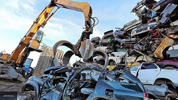 "Родина" обсудила с экспертами проблему с отходами в республике Коми