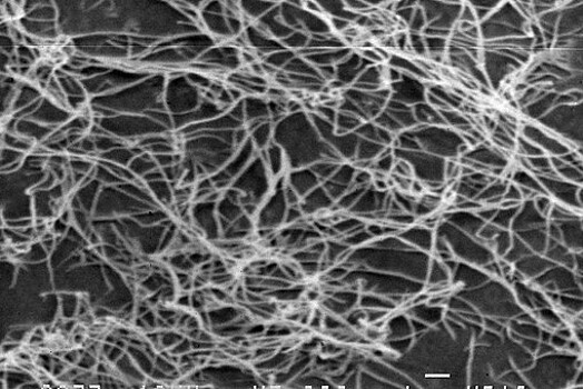 Ученые нашли способы получить бактериальную наноцеллюлозу высокого качества