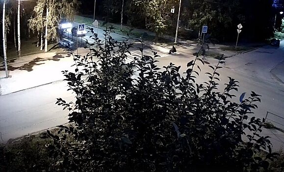 В Петрозаводске городская камера видеонаблюдения сняла странного пешехода
