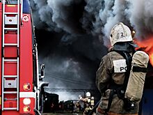 Житель Новосибирска пытался отогреть свой автомобиль и случайно сжег его