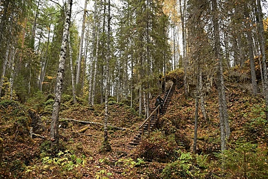 Полицейские из Мордовии помогли двум подросткам выбраться из леса