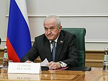 Сенатор рассказал о перспективах военного сотрудничества РФ с другими странами
