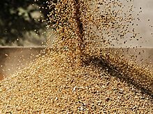 Сотрудничество КНР и России по поставкам сои попало в фокус внимания на ВЭФ