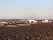 «Ряжский Агроцентр» добился повышения показателей вопреки угрозам «рейдерского захвата»