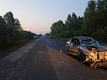 На костромской трассе погиб 19-летний водитель при столкновении автомобиля с лосем
