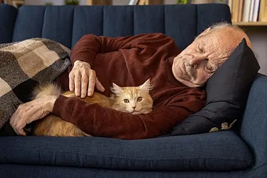 Домашние животные и пожилые люди: полезные отношения на всех уровнях