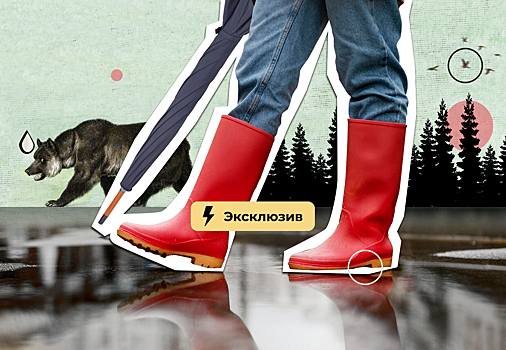 Сплошная аномалия. Какой будет в итоге зима в России и ждать ли от неё рекорда