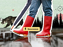 Сплошная аномалия. Какой будет в итоге зима в России и ждать ли от неё рекорда