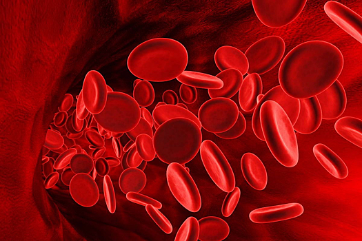 Обладатели первой группы крови могут стать долгожителями
