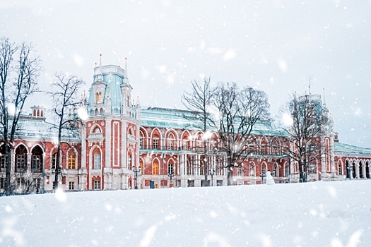 Политолог раскрыл, за какими «чудесами» европейцы едут в Россию