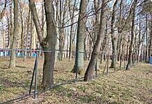 Алиханов возмутился захватом зелёной зоны в микрорайоне Космодемьянского «неблагодарным» застройщиком